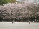 DSCN5621.jpg
