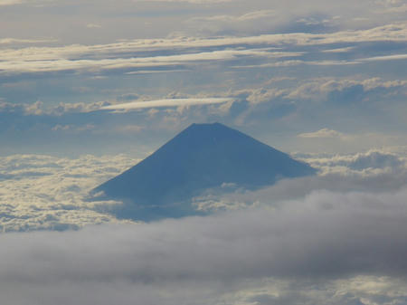 P1000876.jpg