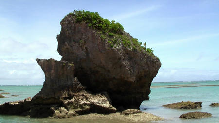 IMGA0015.jpg