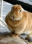 2008_01_20-011.jpg