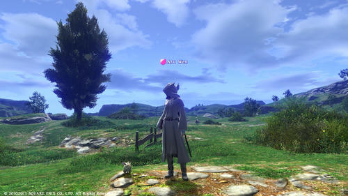 FFXIV_1297516649.jpg