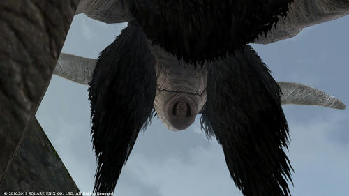 FFXIV_1299163602.jpg