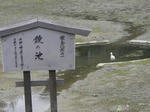 鏡の池