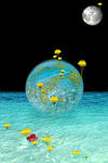 s.world-traveler.jpg