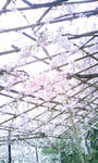 110417_172203.JPG