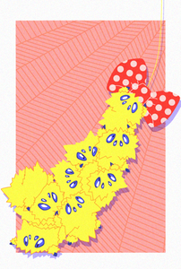 ebitenn-blog.png