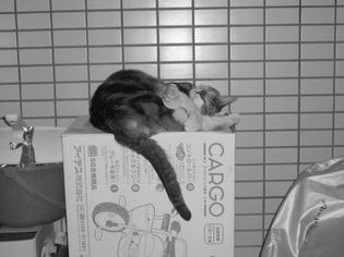 090418-musashi.jpg