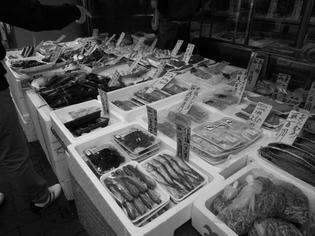 090423-tachibana-1.jpg