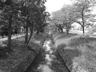 090424-hukaya-1.jpg