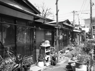 090513-roji.jpg