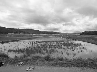 090530-saku.jpg