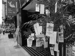 090702-tanabata.jpg
