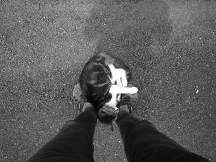 090705-musashi.jpg