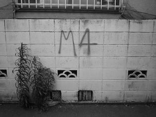 090706-m4.jpg