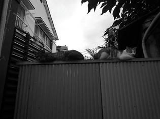090709-aun.jpg