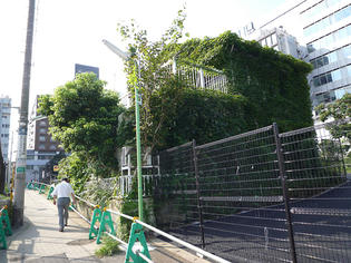 090731-aoyama-1.jpg