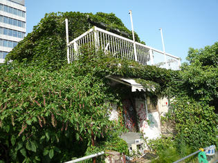090731-aoyama-2.jpg