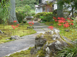 090921-higanbana.jpg