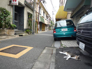 091114-musashi.jpg