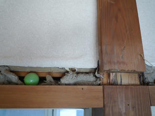 091202-sb.jpg