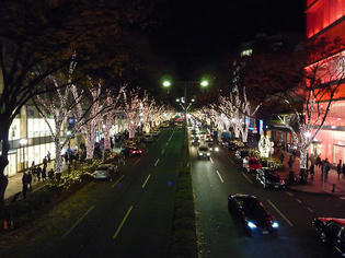 091204-omotesando.jpg