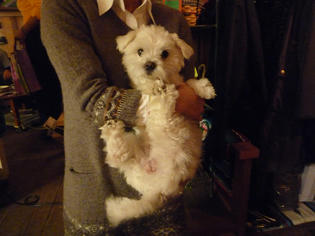 091205-lb-2.jpg