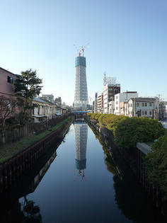091206-skytree.jpg