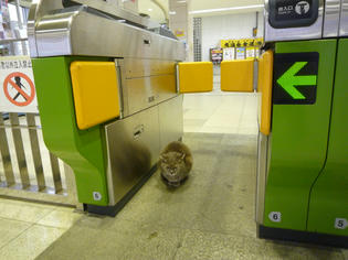 100412-station-1.jpg