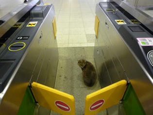 100412-station-2.jpg