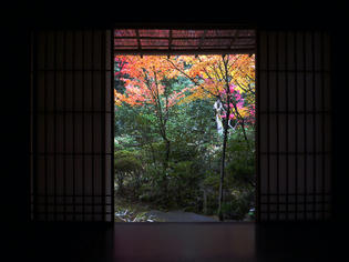 KOTO-IN-3.jpg