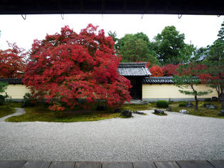 TOJI-IN-1.jpg