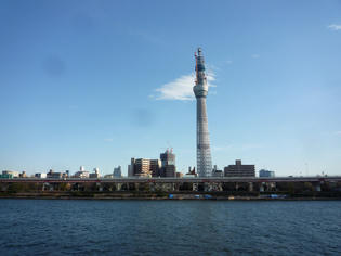 110104-skytree.jpg