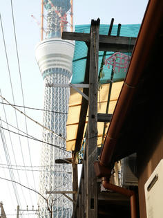 110111-kyojima-3.jpg