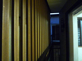 110112-ru-ba.jpg