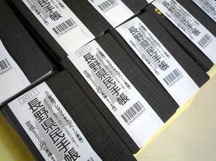 110131-techo.jpg