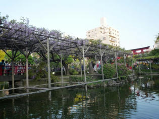 110429-fuji-2.jpg