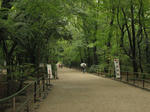 IMG_3697s.JPG