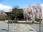 IMG_0036s.JPG