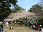 IMG_0096s.JPG