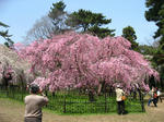 IMG_0097s.JPG