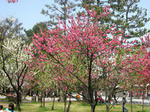 IMG_0127s.JPG