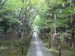 ss006.jpg