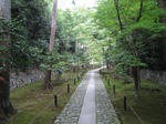 ss007.jpg