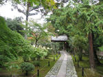 ss009.jpg