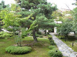 ss011.jpg
