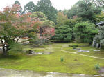ss012.jpg