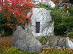 s012.jpg
