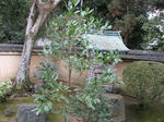 s035.jpg