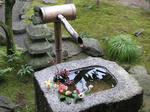 s040.jpg