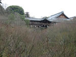 s006.jpg